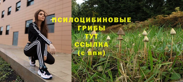 стаф Алексеевка