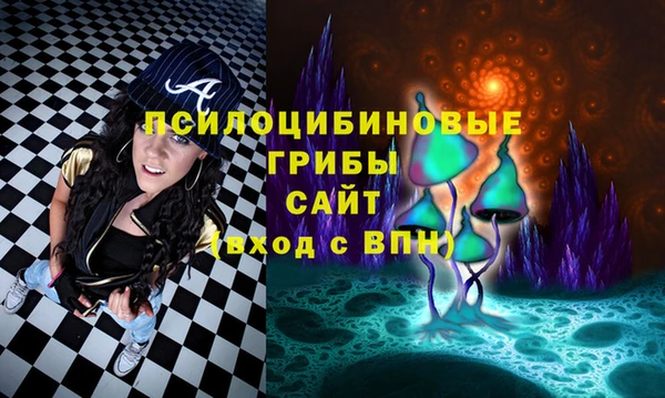 стаф Алексеевка