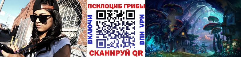 Галлюциногенные грибы мицелий  дарнет шоп  Владивосток 