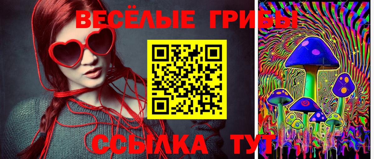 Псилоцибиновые грибы Cubensis  Вход с VPN  Владивосток 
